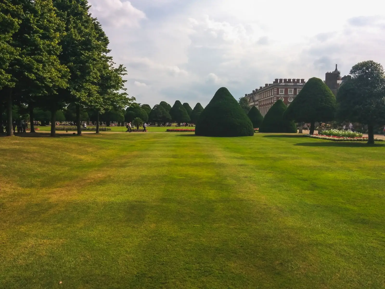 Clipped yew topiary on a broad lawn in an English country garden